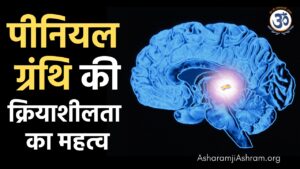 Read more about the article Pineal Gland [Agya Chakra]: Location, Function, Activation